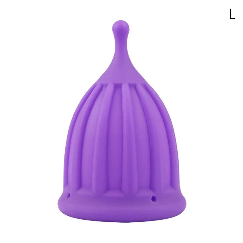 Reusable Menstrual Flow Disc